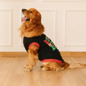 Treditional wear