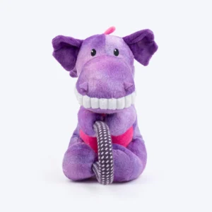 dog toy