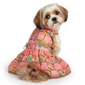 Triditional wear