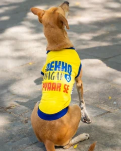 T-shirt for dogs