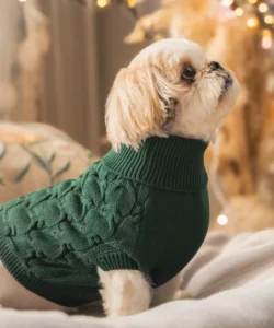T-shirt for dogs