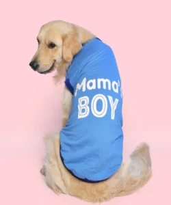 T-shirt for dogs